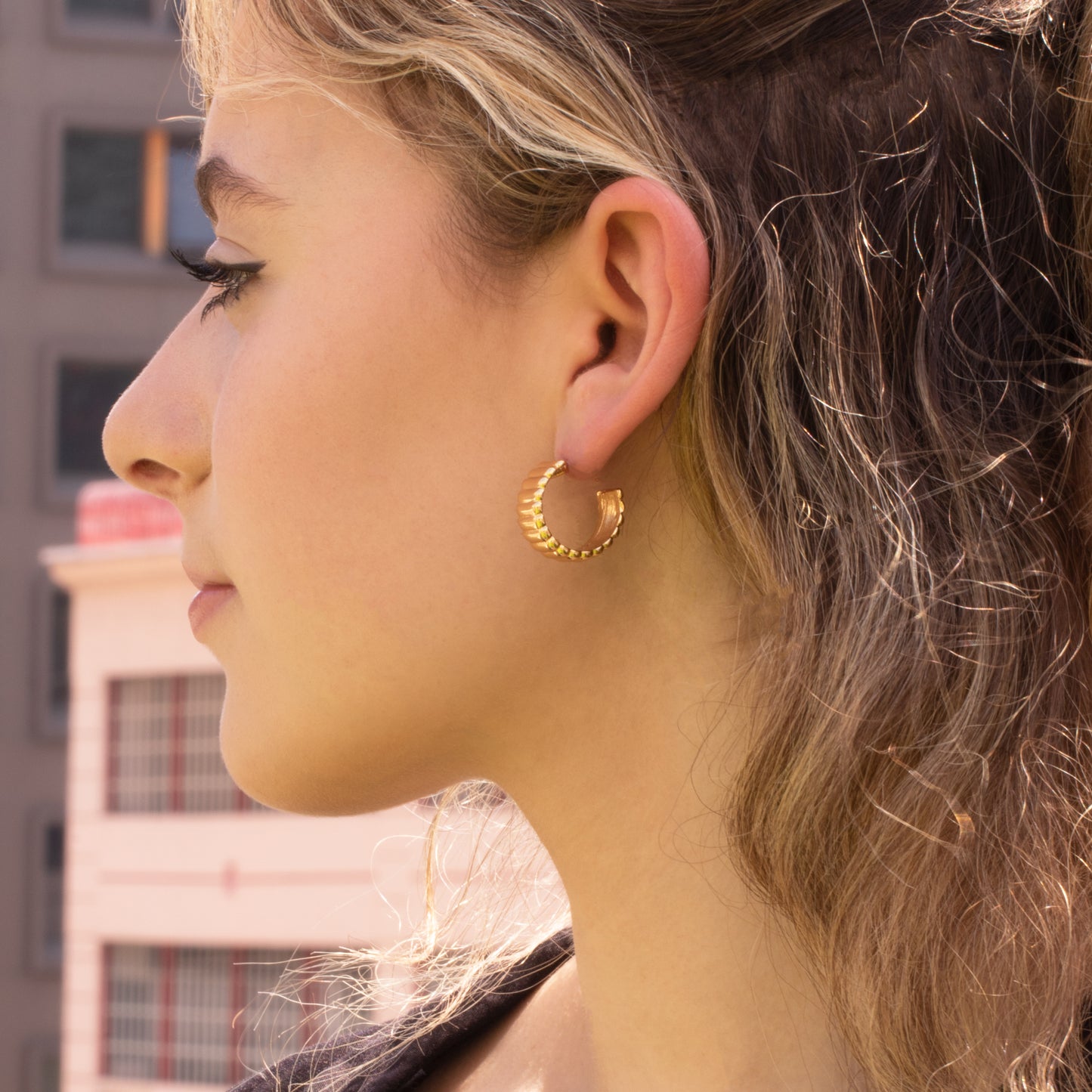 Stripe Hoop Earrings