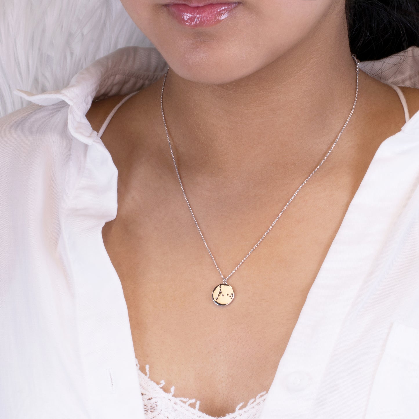 Zodiac Constellation Coin Necklace