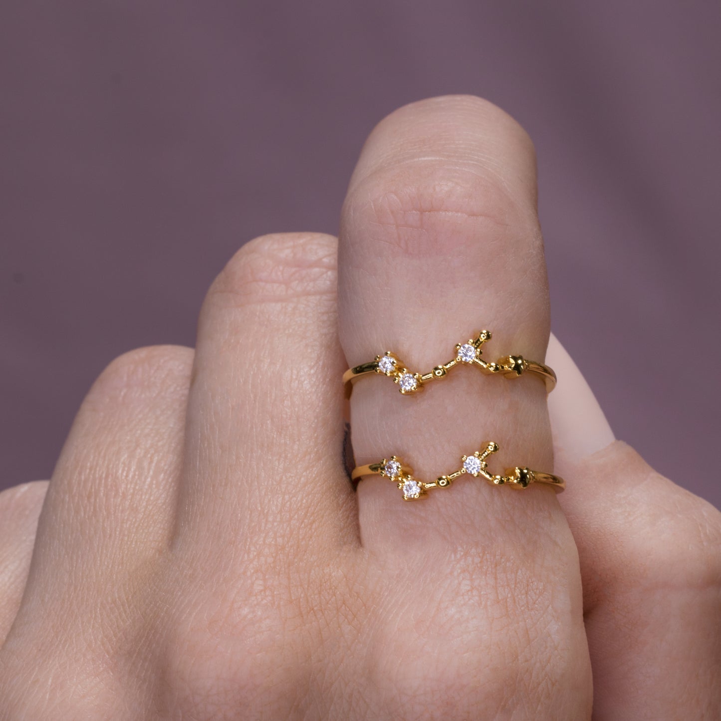 Zodiac Constellation Ring