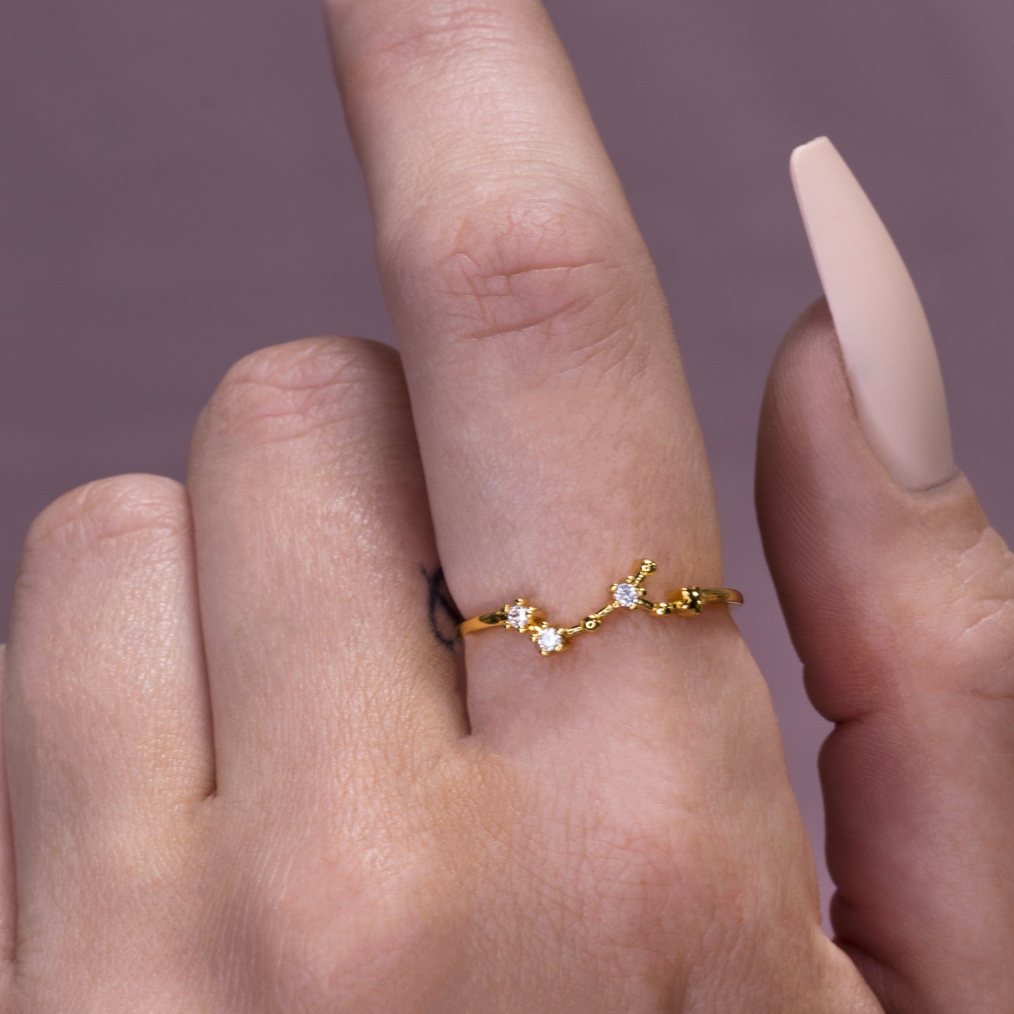 Zodiac Constellation Ring